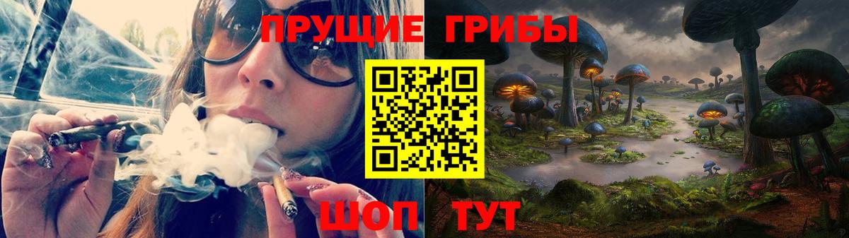 Галлюциногенные грибы MAGIC MUSHROOMS  Вход с VPN  Кольчугино 